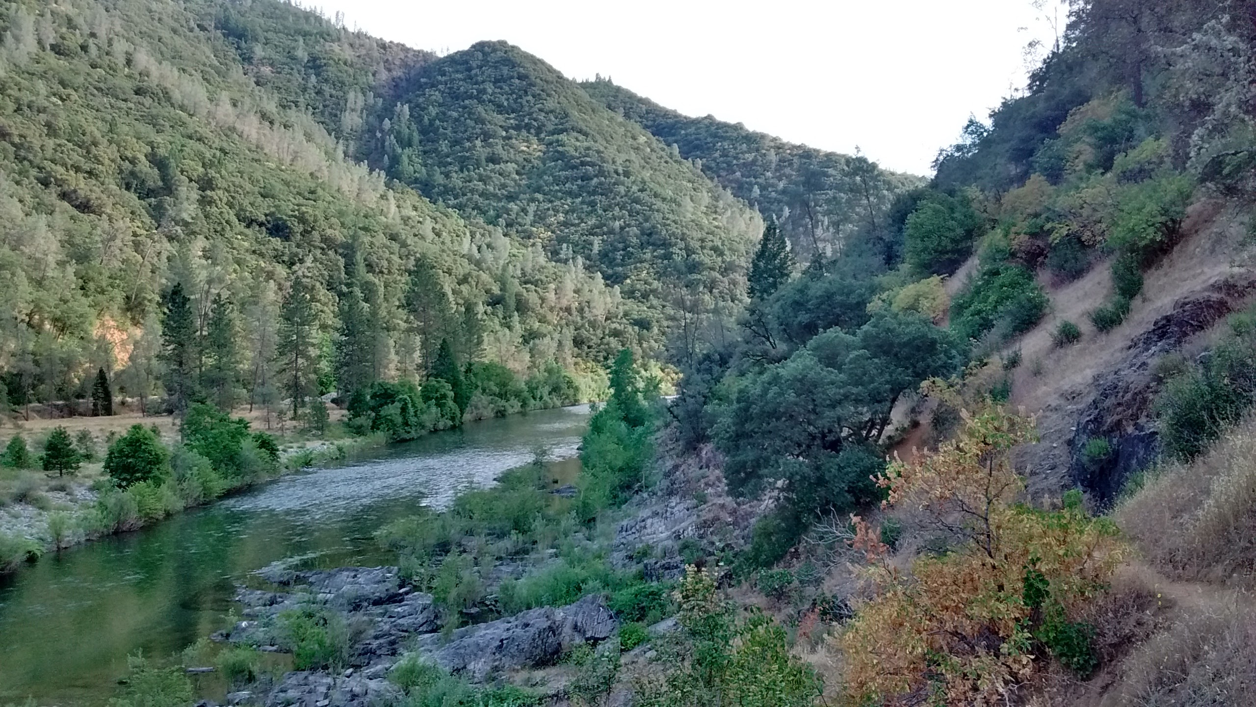 river medicine
