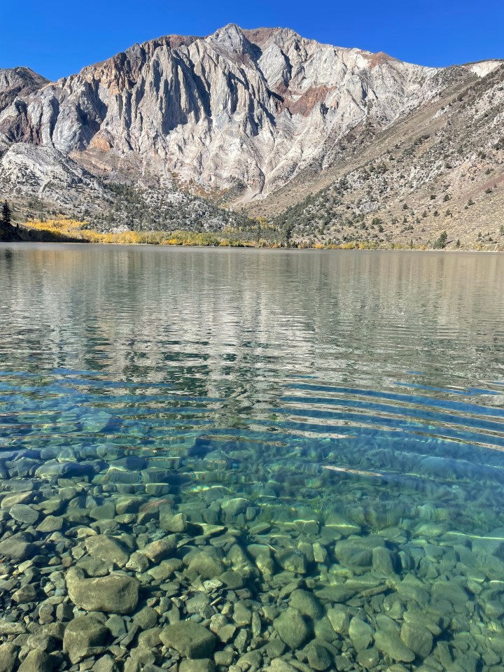 majesty, mountain, mystic