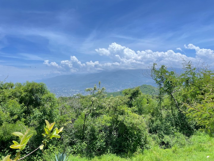 an adventure inspired by hongos sagrados en oaxaca